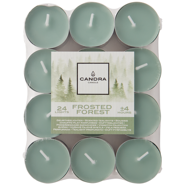 Bougies chauffe-plats parfumées Candra Frosted Forest