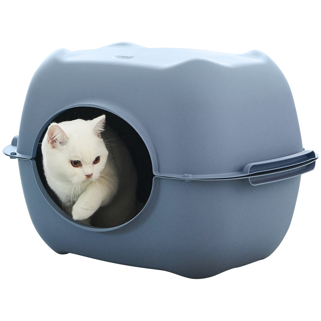 Caja para gatos 