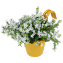 Pot de fleurs de balcon