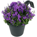 Pot de fleurs pour balcon