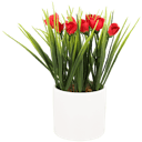Fiori di primavera in vaso