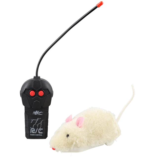 Radiografisch bestuurbare muis