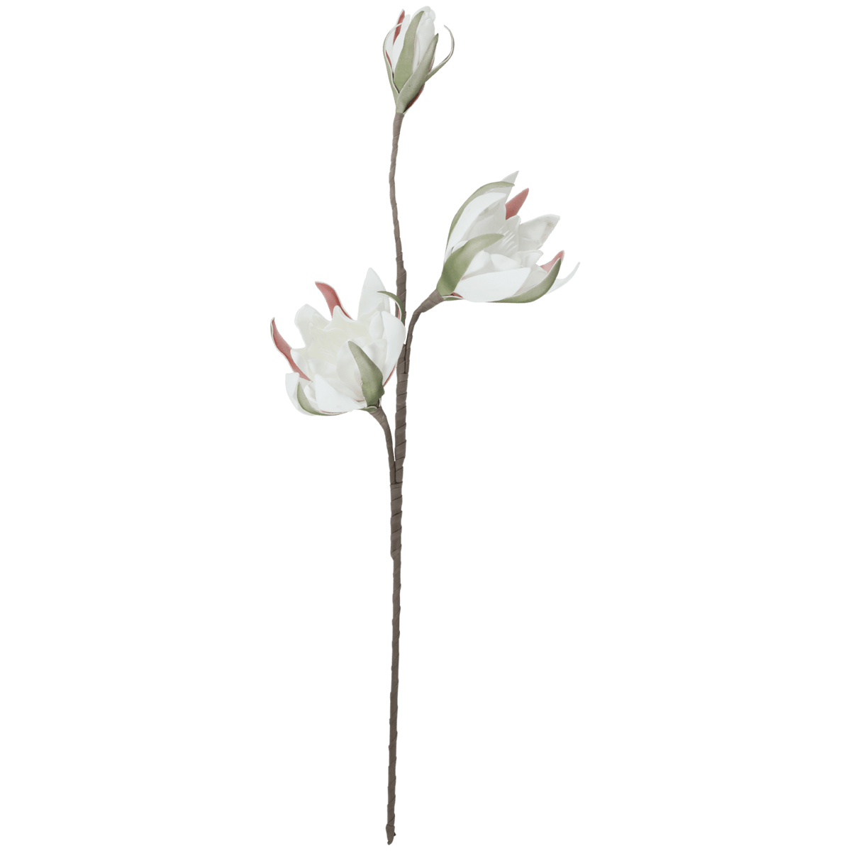 Kwiat piankowy na łodydze