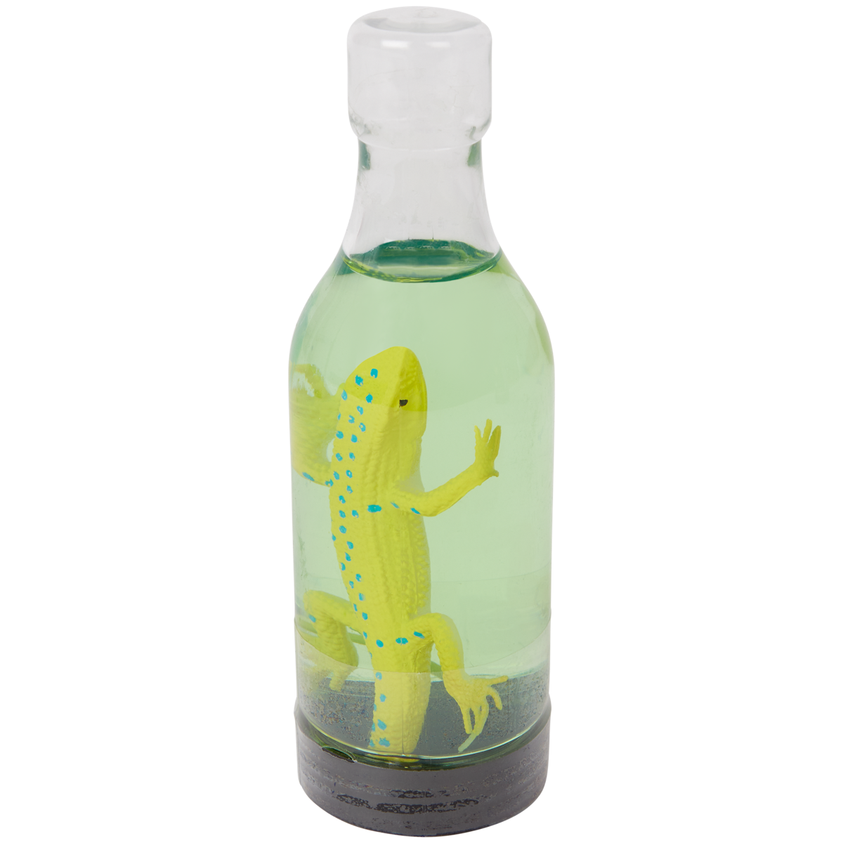 Animale in bottiglia