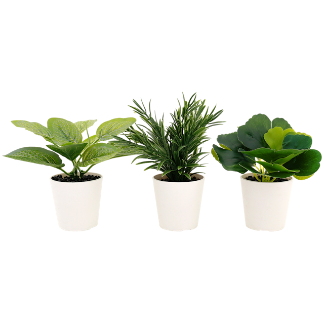 Plantes artificielles avec pot Home Accents