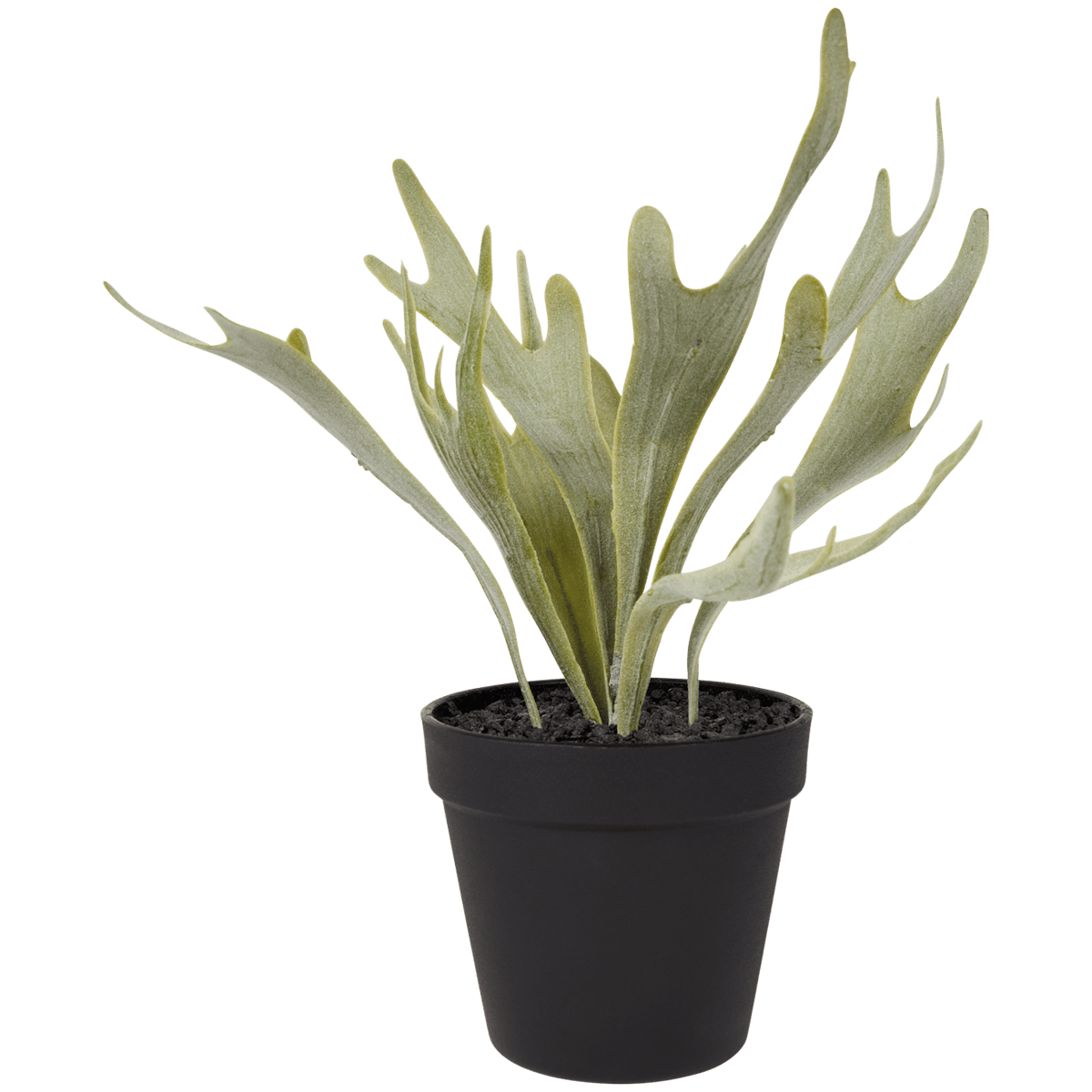 Umělá rostlina