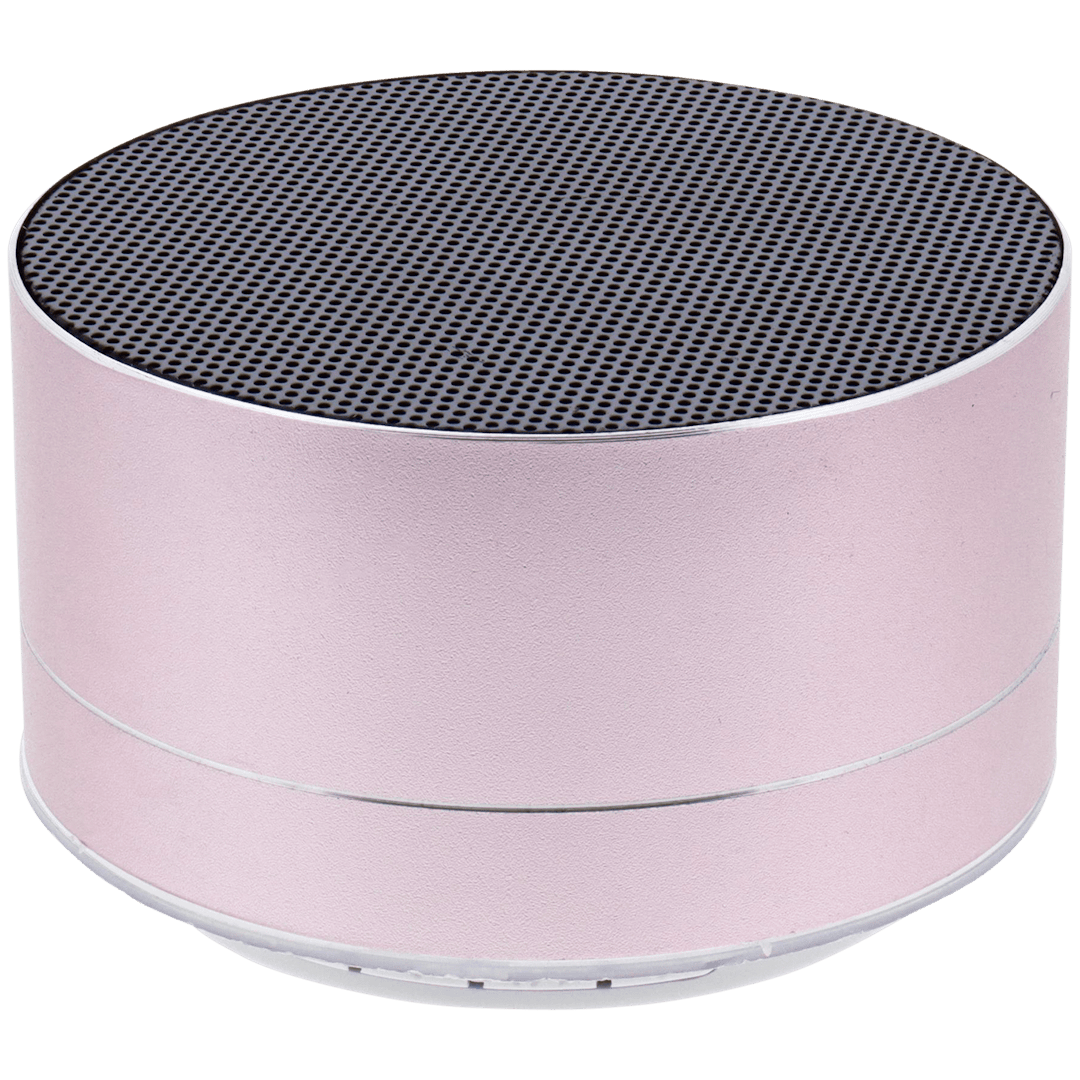 Speaker Bluetooth Audiologic