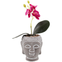 Květináč ve tvaru Buddhy s orchidejí