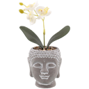 Buddha-Topf mit Orchidee