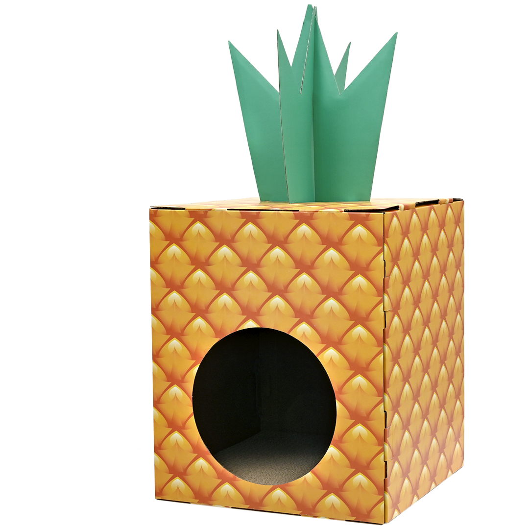 Maison à chats ananas