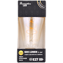 Eurodomest retro filament-ledlamp  