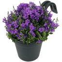 Pot de fleurs pour balcon  