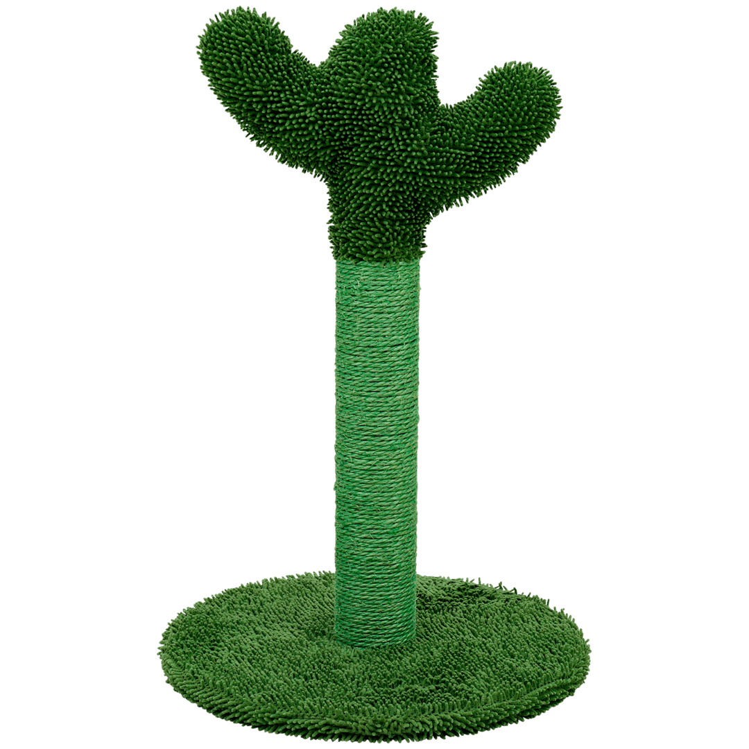 Tiragraffi cactus  