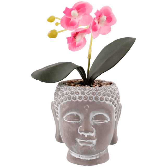Buddha-Topf mit Orchidee  