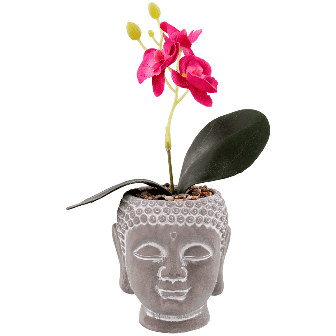 Boeddhapotje met orchidee  