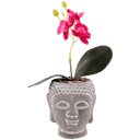 Pot Bouddha avec orchidée  