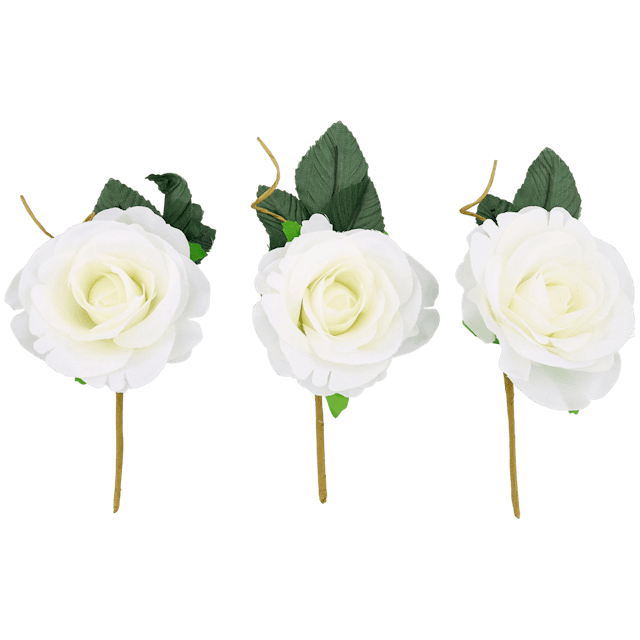 Roses décoratives  
