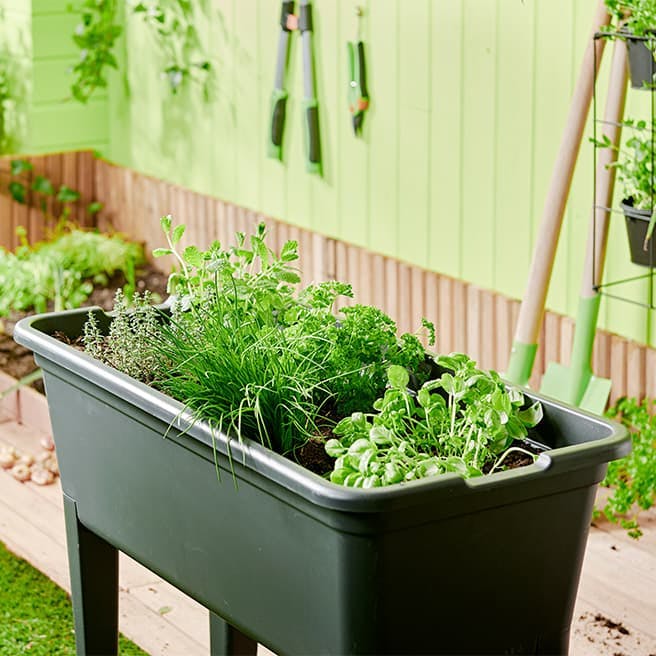 Dbaj o swój ogródek warzywny