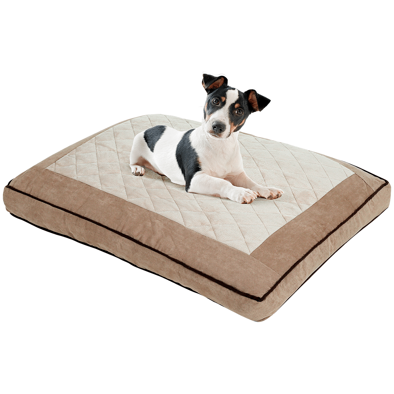 Coussin Pour Animal Thermique Action Com